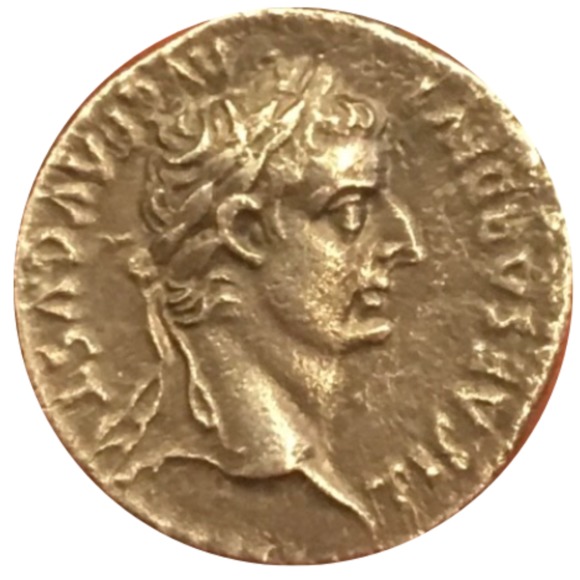 Meet your Posher, Daniel - Picture 1 of 1